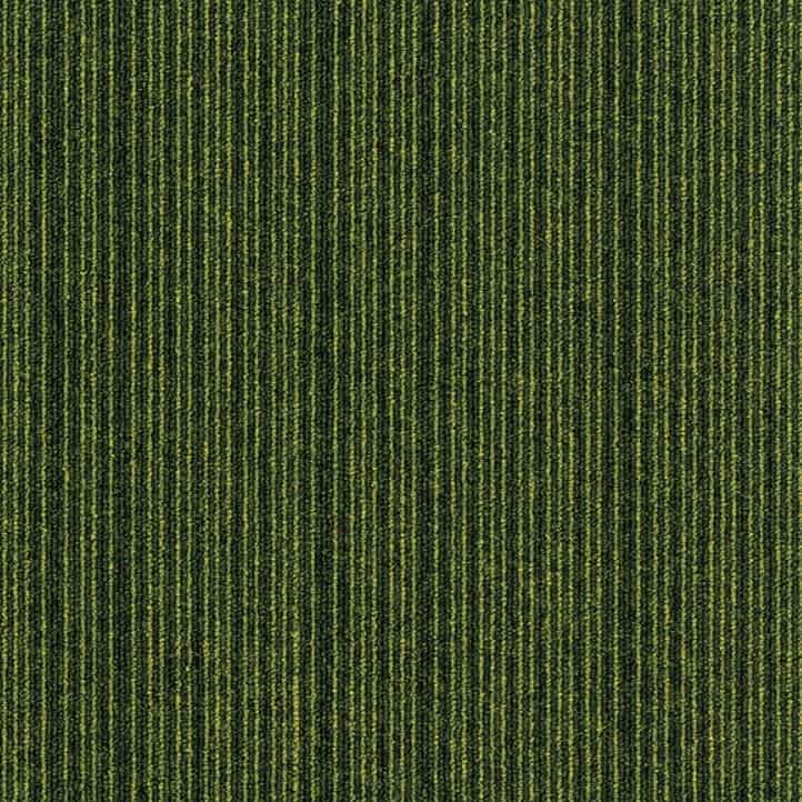 IVC Art Intervention Expansion Point 621 Karo Halı